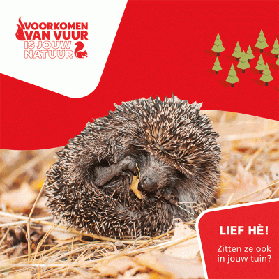 Afbeelding van een egel. Daarbij staat de tekst 