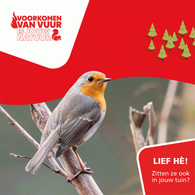 Afbeelding van een roodborstje. Daarbij de tekst 